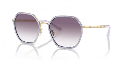 عینک آفتابی کوچ Coach HC7167B