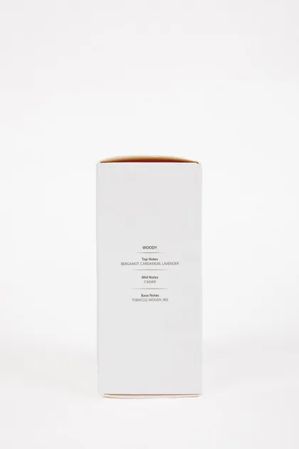 عطر مردانه کهربایی تیره آروماتیک 75 میلی لیتری Z0241azns TYCX8XB36N169823186280662