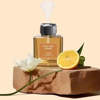 دستگاه خوشبو کننده هوا Home Perfume مدل p63 شارژی
