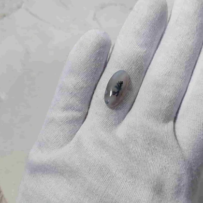 عقیق شجر قائن اصل کد 21