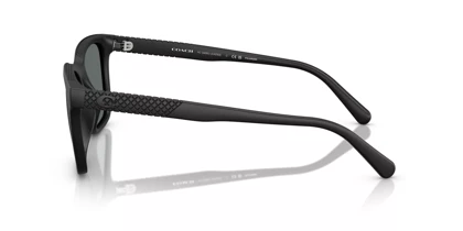 عینک آفتابی کوچ 500281 Coach HC8426U