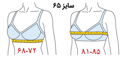نیم‌تنه طرح شکوه