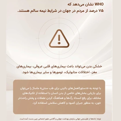 تشک ماساژور تمام بدن رپور RP-U7