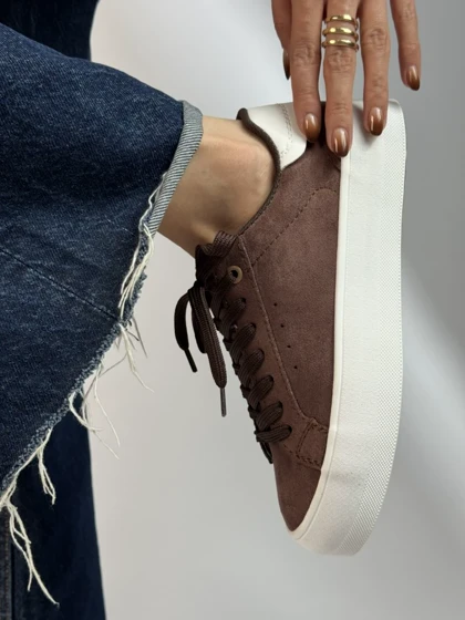 ونس برشکا پایتخت 2308