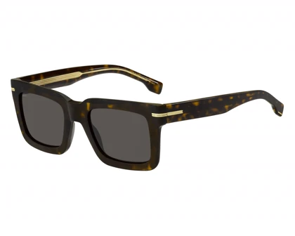 عینک آفتابی باس Boss 1501