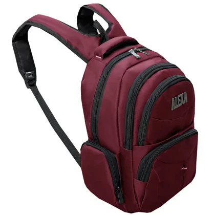 کوله پشتی الکسا مدل ALEXA - ALX1007