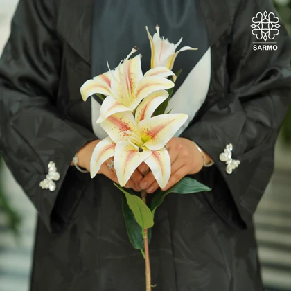 عبا مجلسی ژاکارد پروانه