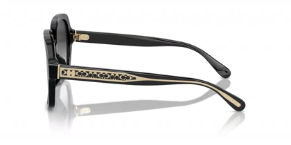 عینک آفتابی کوچ Coach HC8395U