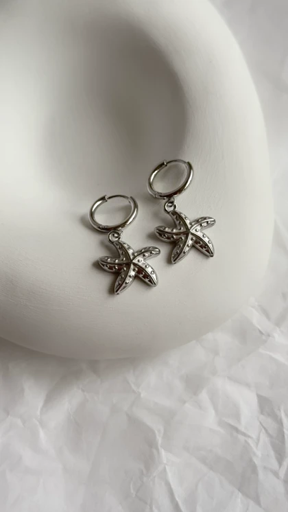 Silver star fish