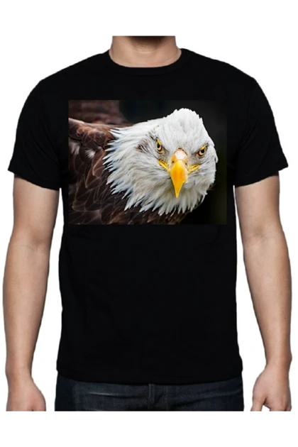 تیشرت سایز بزرگ مردانه لایف گارد lifeguard