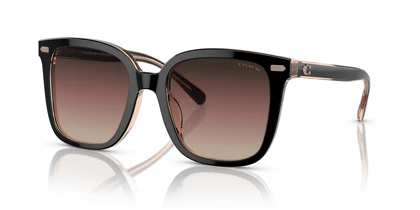 عینک آفتابی کوچ Coach HC8381U