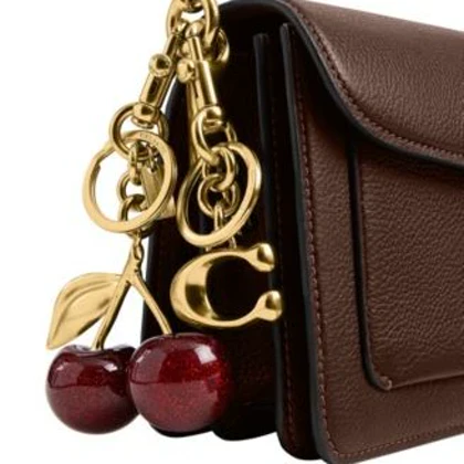 بگ‌چارم گیلاس Coach