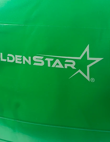 توپ بدنسازی Unisex بدون برند گلدن استار 85 سانتیمتری BRS