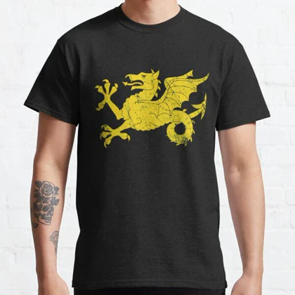 تیشرت house of the dragon طرح Wessex Wyvern Dragon T-Shirt کد 194935