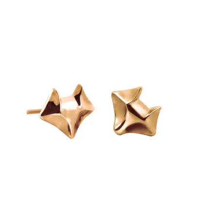 گوشواره روبی کوچک نقره_ Ruby Earpins small