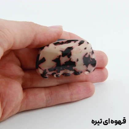 کلیپس دخترانه مدل بند انگشتی طرح صدف خال‌خالی