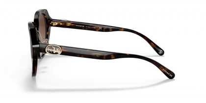 عینک آفتابی کوچ Coach HC8331S