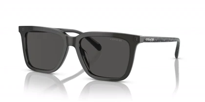 عینک آفتابی کوچ Coach HC8385U