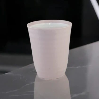 لیوان رنگی پلاستیکی مسافرتی