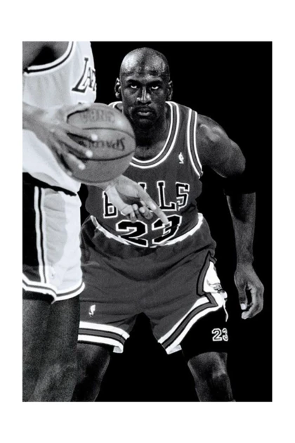 تیشرت سایز بزرگ لایف گارد lifeguard