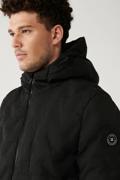 کت و کاپشن مردانه اوا avva