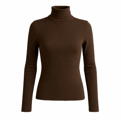 بلوز آستین بلند زنانه پپا مدل Turtleneck رنگ قهوه ای