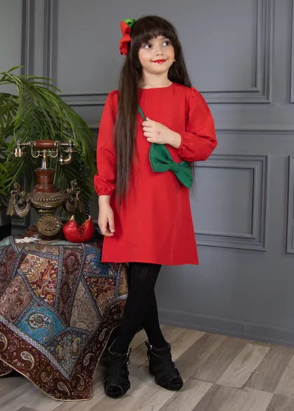پیراهن و گیره مو دیبا