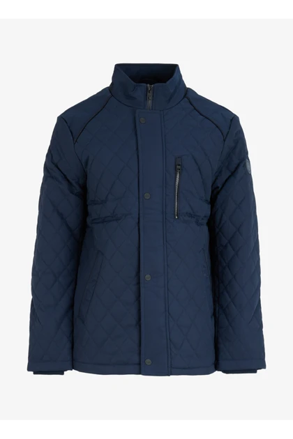 کت و کاپشن مردانه اورجینال altinyildiz-classics altinyildiz-classics