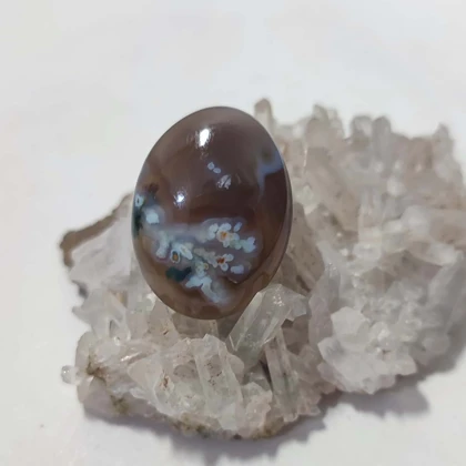 عقیق شجر بهاری با زمینه خرمایی