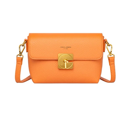 کیف دوشی مدل David Jones CM7009