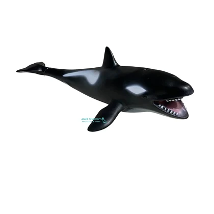 فیگوری حیوانات دریایی