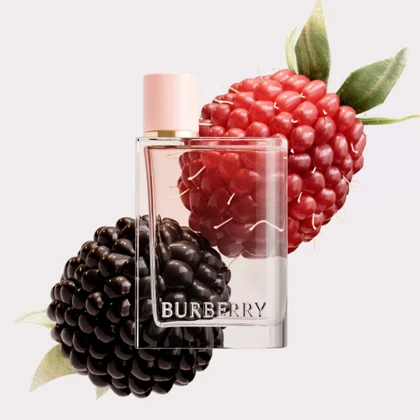 عطر باربری هر ادوپرفیوم زنانه Burberry Her Eau de Parfum