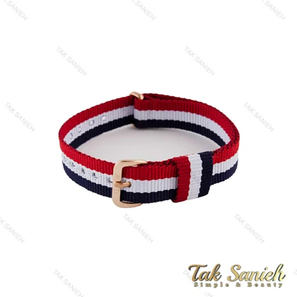 بند ساعت دنیل ولینگتون زنانه برزنتی فرانسه رزگلد DW-Strap-4826-L