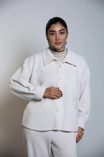 شکت بیسکوییتی