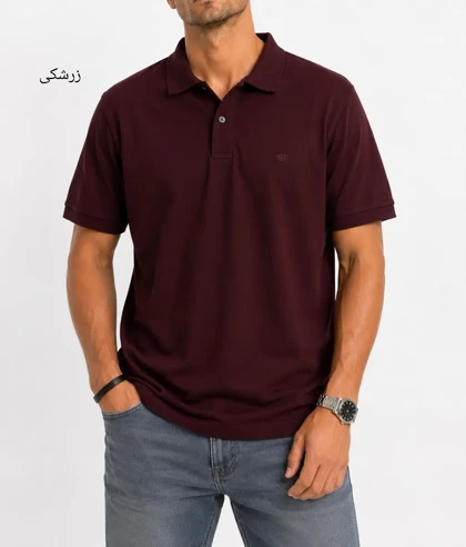 تیشرت یقه دار مردانه ساعد 4