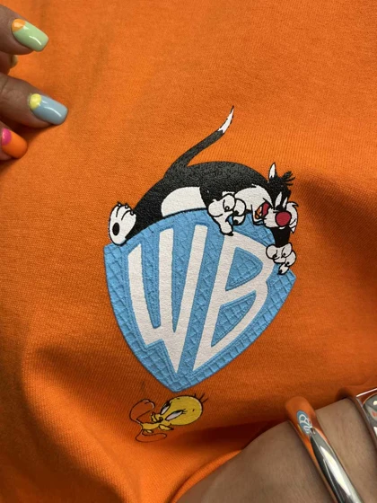 تیشرت WB