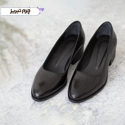 کفش مجلسی زنانه کد F107