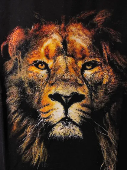 تیشرت سایز بزرگ LION
