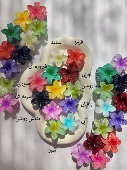 پلومریا مینی- کد973