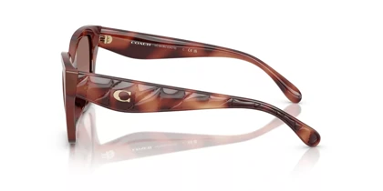 عینک آفتابی کوچ Coach HC8418U