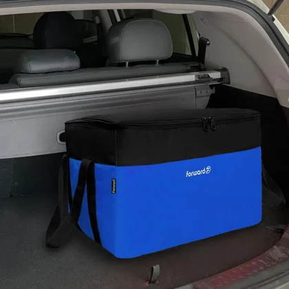 ساک پیک نیک مسافرتی فوروارد مدل FORWARD - FCLT44102