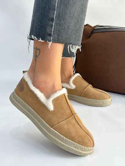 کالج لبه خزدار 2506