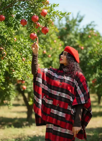 پانچ و دامن یلدا