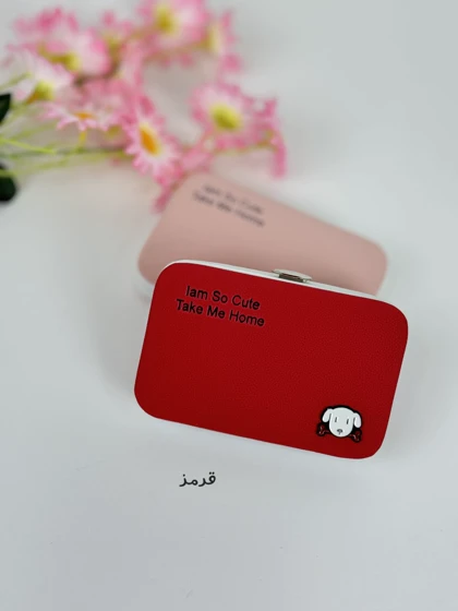 جاکارتی پاپی