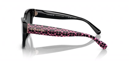 عینک آفتابی کوچ Coach HC8379U
