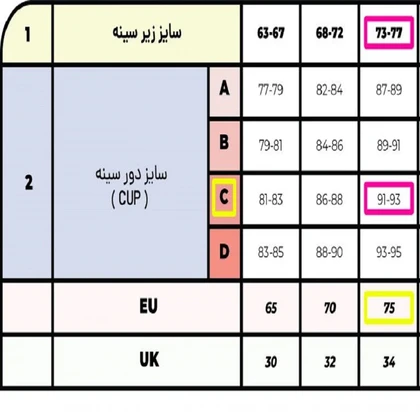 سوتین 2054 نیو مدل L1933043BR