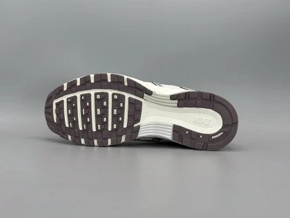 کتانی نایکی P6000 سیلور گلبهی/Nike P6000