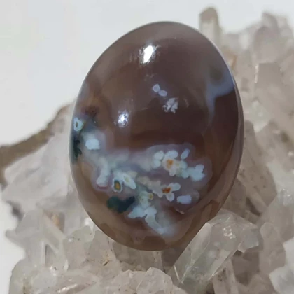 عقیق شجر بهاری با زمینه خرمایی