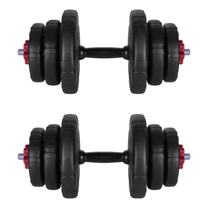 دمبل رادیس فیت مدل DVP-10mix1-v1 وزن 10 کیلوگرم بسته 2 عددی