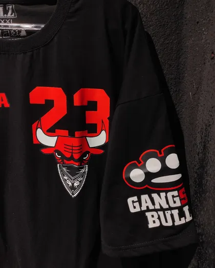تیشرت CHICAGO BULLS